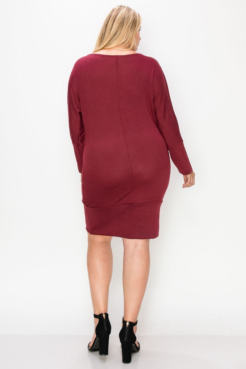 Draped Neck Long Sleeve Dress Plus Size